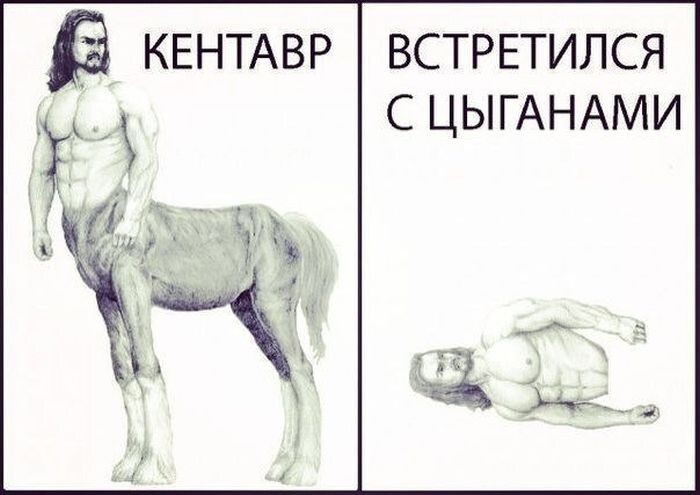 Весёлые картинки