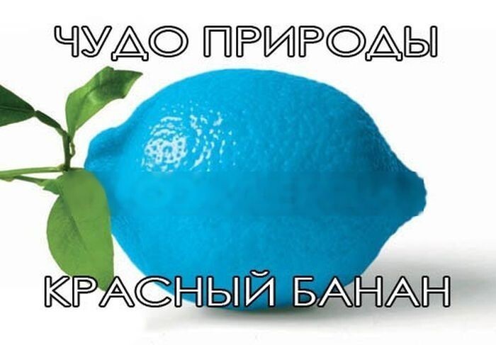 Весёлые картинки