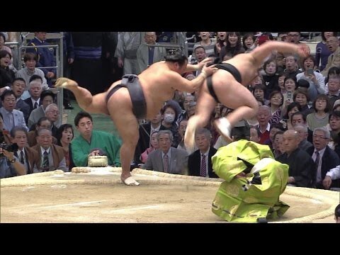 Борьба сумо, прикольные моменты 