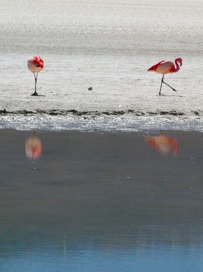  Солончак Уюни (Salar de Uyuni) — зеркало мира