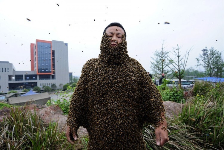 Костюм из 330 тысяч пчёл