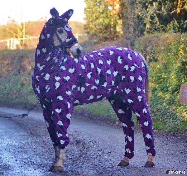 Просто лошадь в пижаме