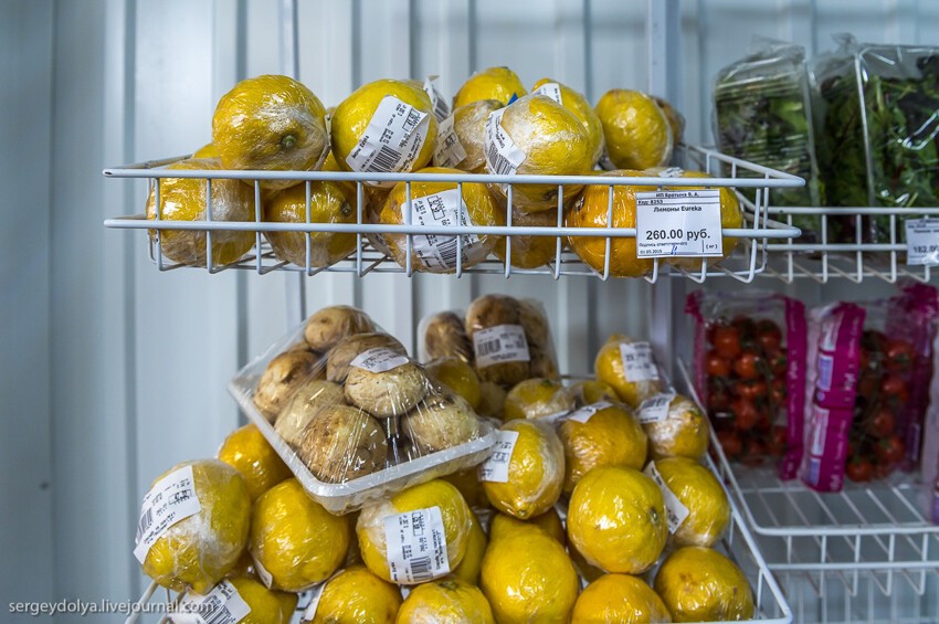 Сомнительного вида лимоны стоят 260 рублей (в Москве 79 рублей):
