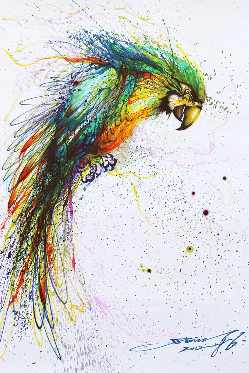 Цветной попугай 