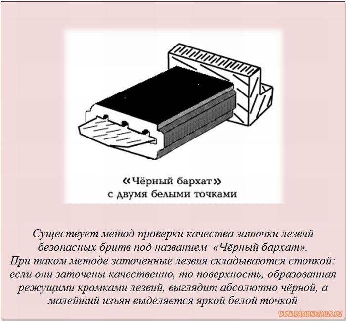 Интересные и познавательные факты 