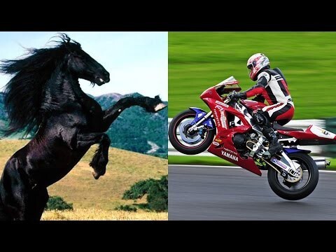 Кто быстрее, лошадь или мотоцикл? 