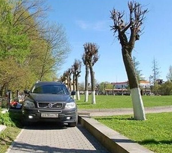 Петербуржец припарковал свой автомобиль возле могил