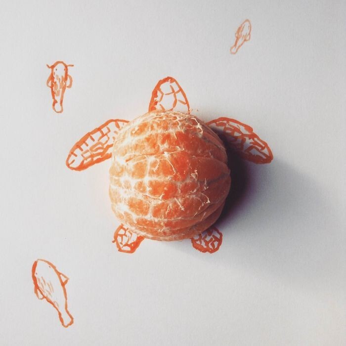 Апельсиновая черепаха 