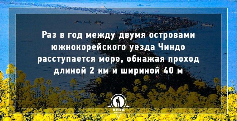 11 интересных фактов о воде