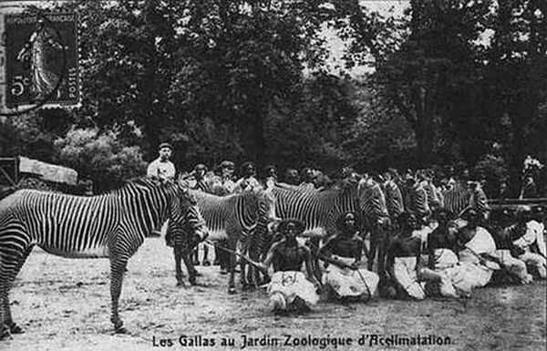 В Европе были очень популярны человеческие зоопарки