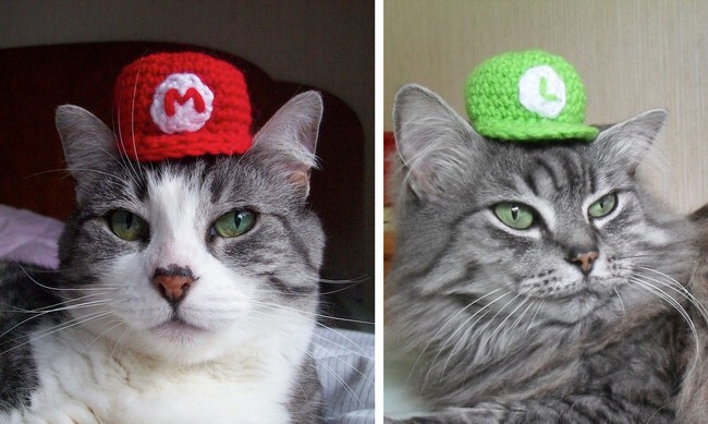 Шляпки "Марио и Луиджи" 