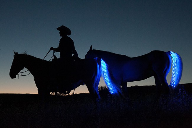 Светящиеся пряди для лошадей 