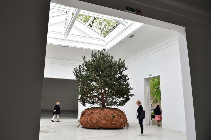 Одно из трёх деревьев, составляющих инсталляцию «Revolutions» французской художницы Celeste Boursier-Mougenot в павильоне Франции