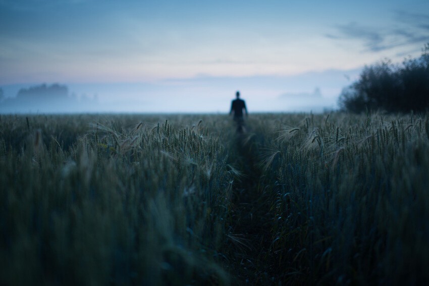 Чарующие пейзажи от Микко Лагерстедта (Mikko Lagerstedt)