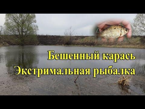 Пожарище, Экстримальная рыбалка и бешенный карась 