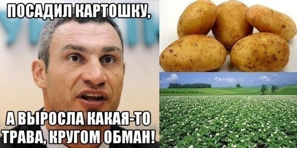 Укропия в картинках