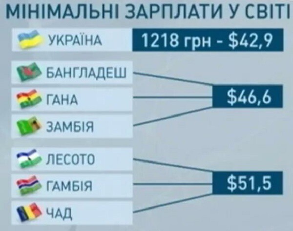 На манеже всё те же - подборка картинок