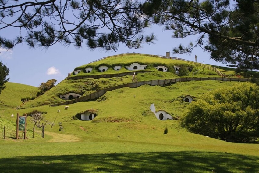 Овцы и Хоббит Шир в Новой Зеландии, где были сняты фильмы Властелин Колец.