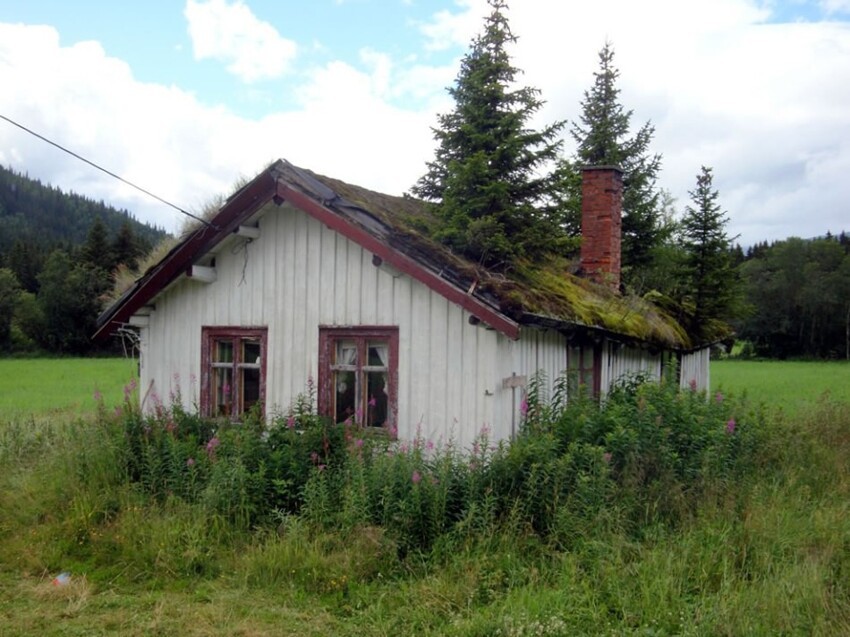 Это то, что происходит без козла на дерновой крыше. Старинный дом 19-го века на горнолыжном курорте Хемседал, Норвегия, срочно нуждается в ремонте. Деревья, которые могут расти на дерновой крышей, в конечном счете разрушают дом.