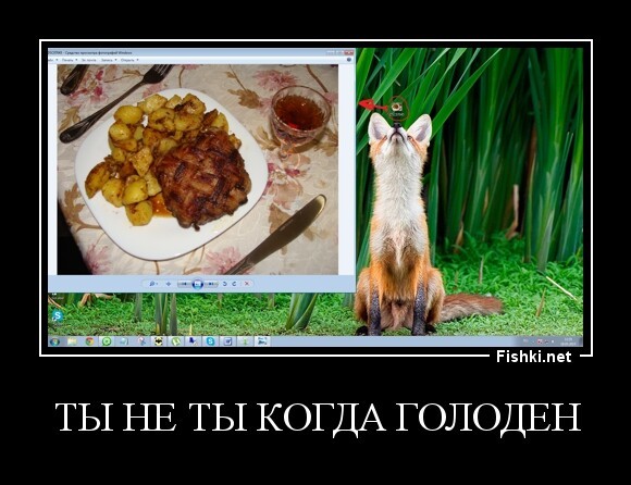 ты не ты когда голоден