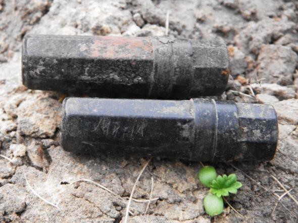 "Кубанский плацдарм" - найдены останки павших воинов