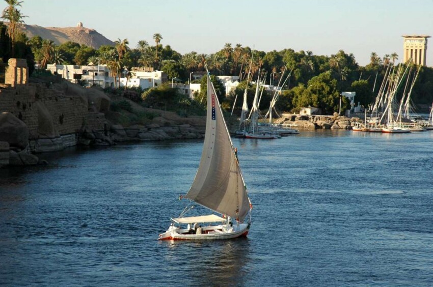 Фелюга (felucca) — это традиционная египетская парусная лодка, сделанные из дерева. Египтяне используют фелюги на протяжении тысячи лет. Парусные лодки являются неотъемлемой и важной частью египетской культуры.