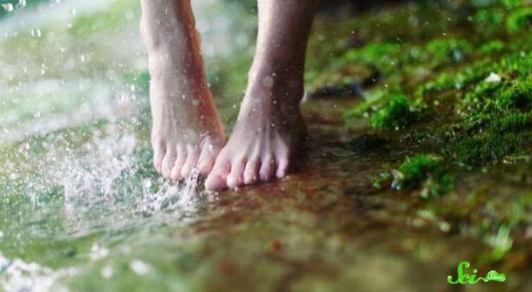 Почему наши пальцы рук и ног становятся морщинистыми, от долгого пребывания в воде