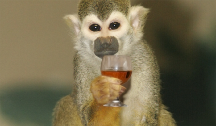 9. Пьяные обезьяны ($ 3,2 млн)