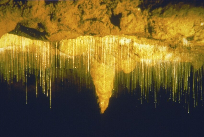 19. Пещеры Вайтомо, Новая Зеландия