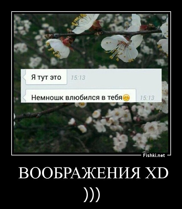  ВООБРАЖЕНИЯ xd