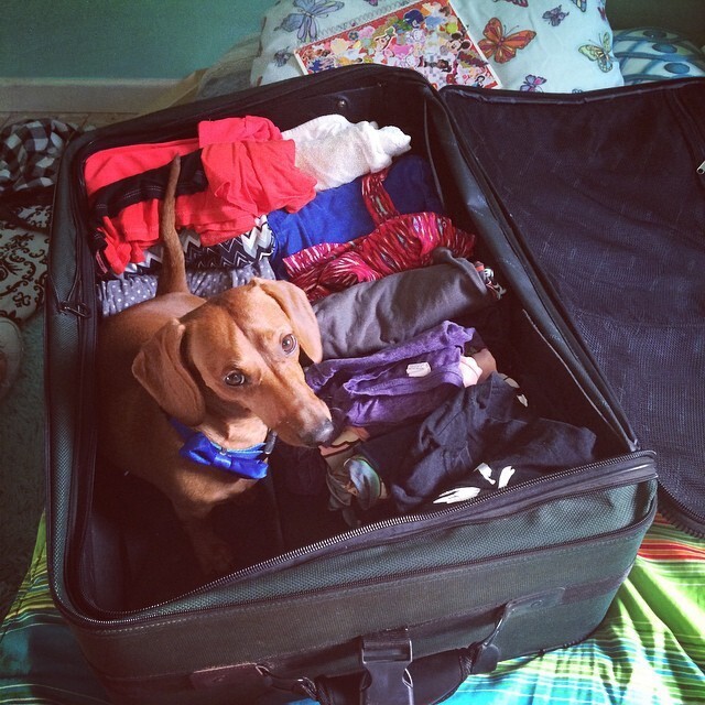 19. "Как же можно упаковать целую жизнь в чемодан?"