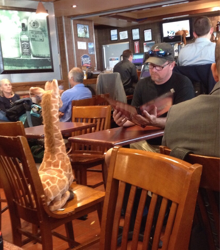 В кафе с жирафом 