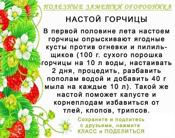 Полезные советы для огородников