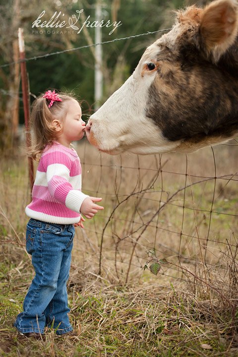 Поцелуй коровку