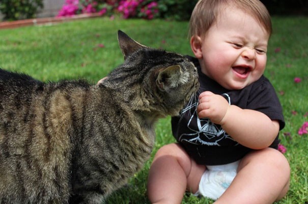 20 фотодоказательств того, что вашим детям нужна кошка