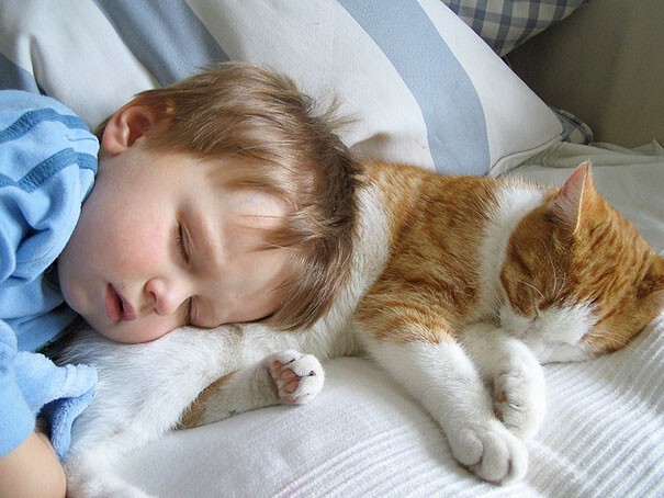 20 фотодоказательств того, что вашим детям нужна кошка