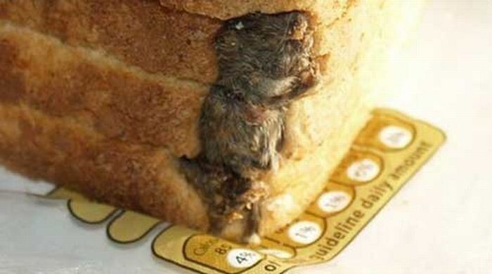 2. Хлеб с мертвой мышью 