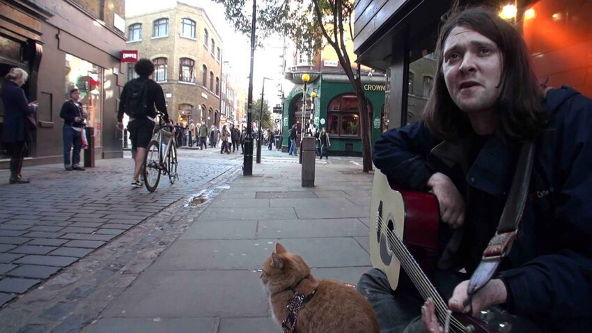 Как бездомные музыкант и кот изменили жизнь друг друга