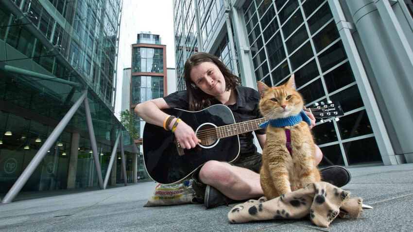 Как бездомные музыкант и кот изменили жизнь друг друга