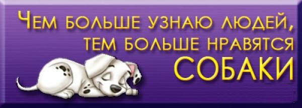 Картинки с надписями чем больше узнаю людей тем больше нравятся собаки