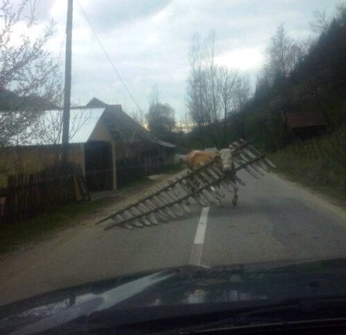 Тем временем в России