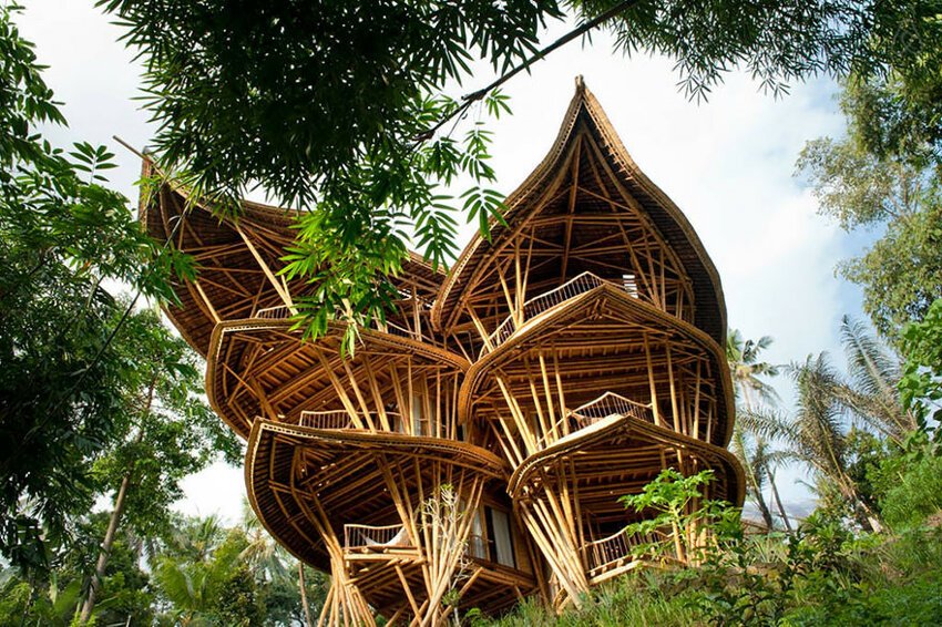 Бамбуковые дома Элоры Харди