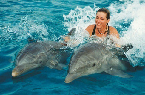 Почему дельфины спасают тонущих людей