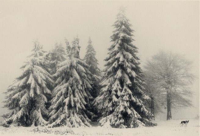 Pentti Sammallahti: Поймать чувства в объектив