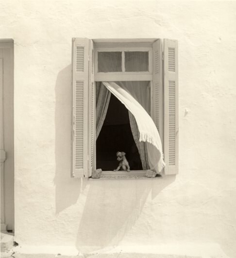 Pentti Sammallahti: Поймать чувства в объектив