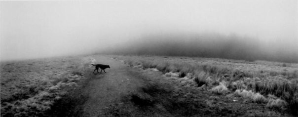 Pentti Sammallahti: Поймать чувства в объектив