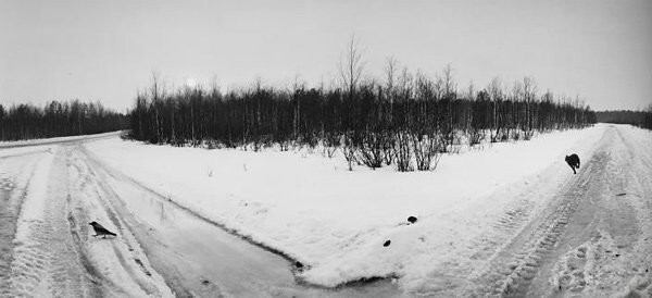 Pentti Sammallahti: Поймать чувства в объектив