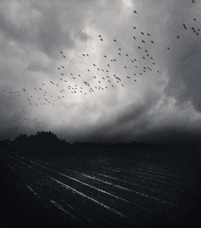 Pentti Sammallahti: Поймать чувства в объектив