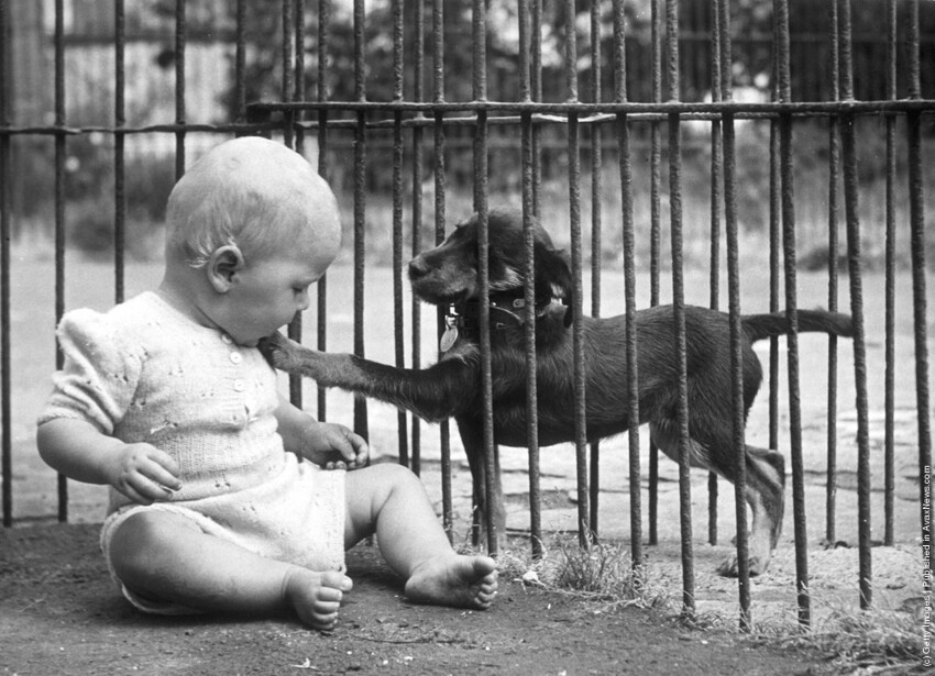 Люди и животные: история в чёрно-белых фото