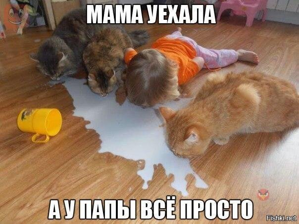 Из солянки